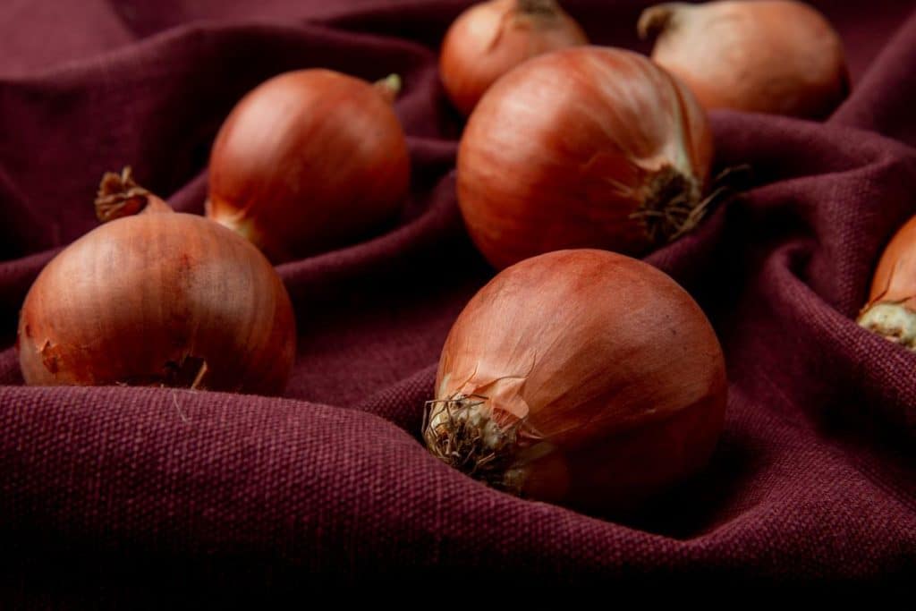 peau d'oignon pour maigrir avis