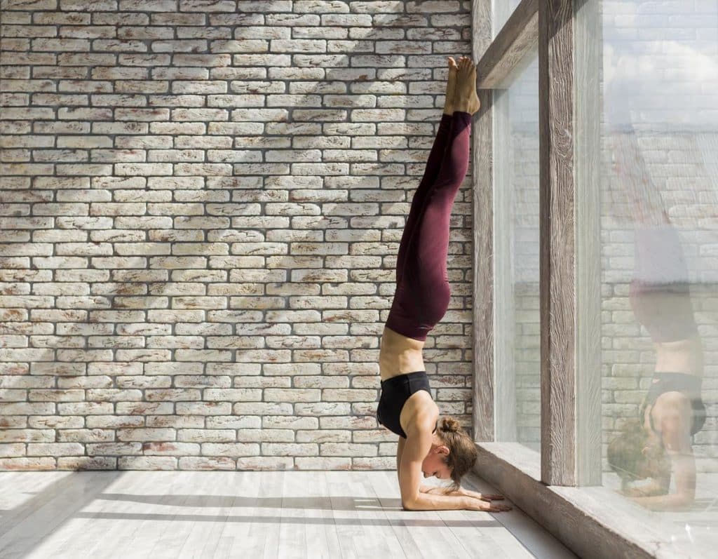 pilate au mur application gratuite