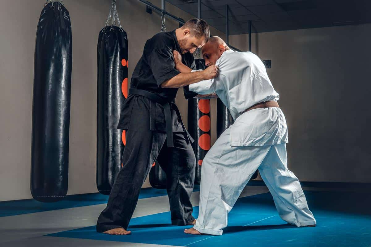 prise de judo