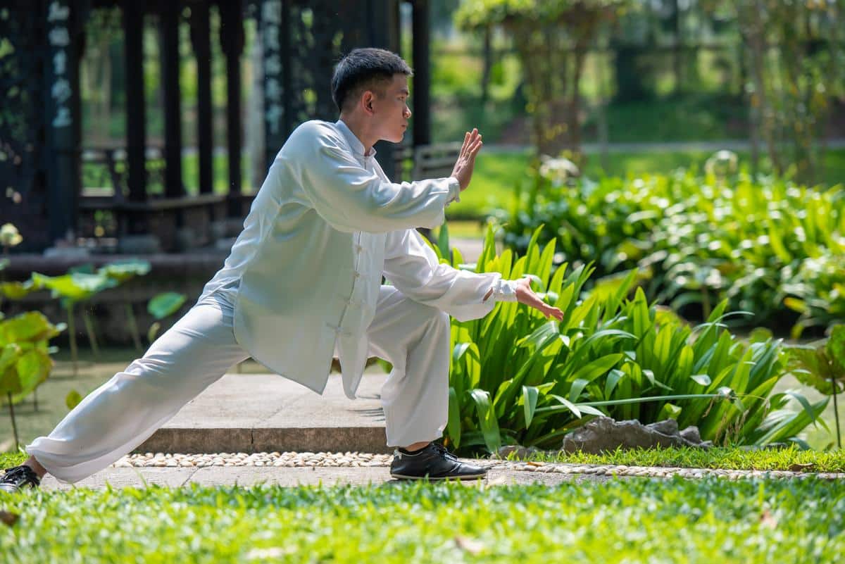 tai chi style chen