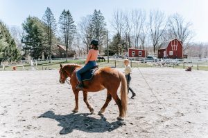 equitation pour debutant