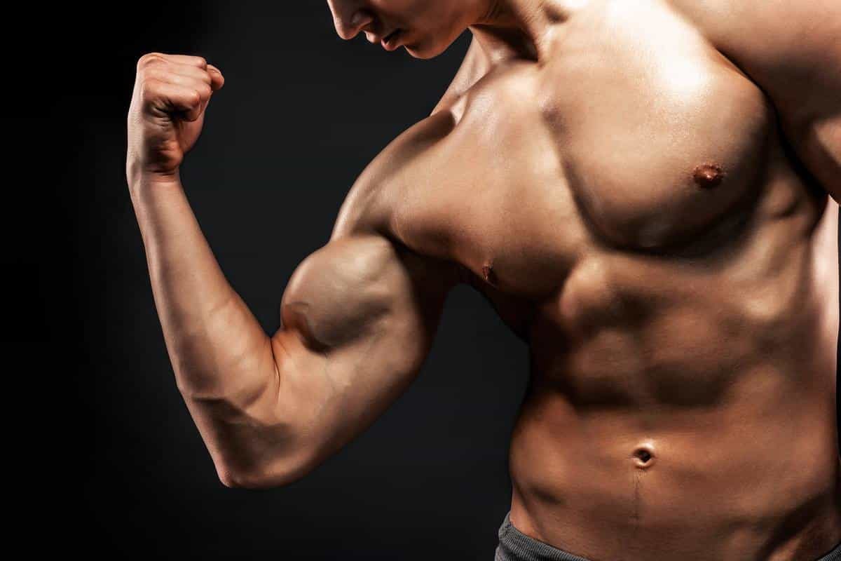 biceps court avantage