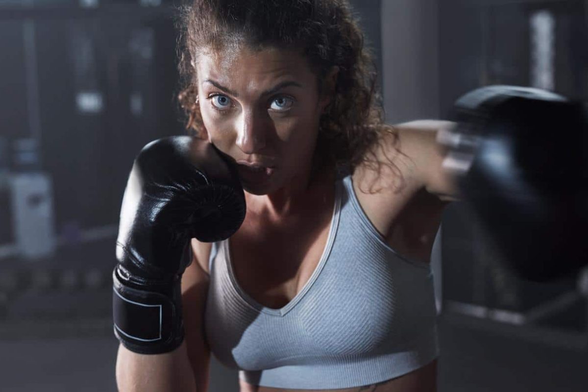 fit boxing