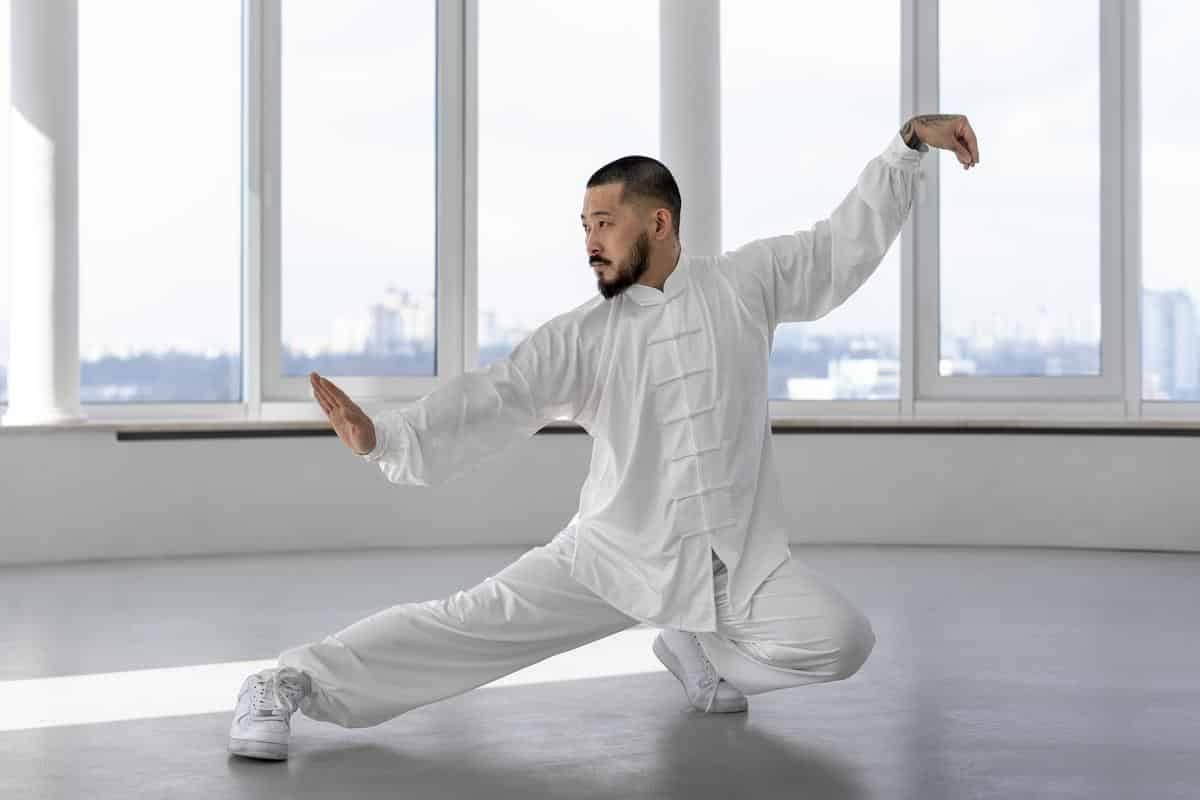 tai chi style yang